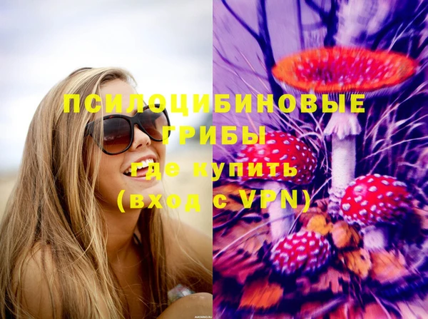 бошки Володарск